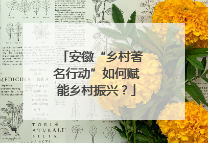 安徽“乡村著名行动”如何赋能乡村振兴？