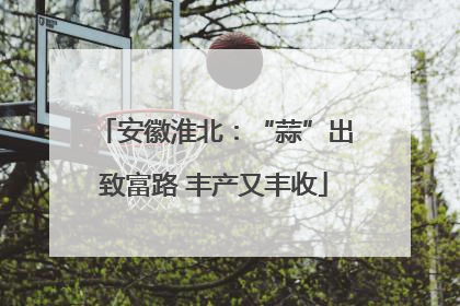 安徽淮北：“蒜”出致富路 丰产又丰收