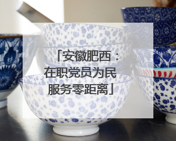 安徽肥西：在职党员为民服务零距离