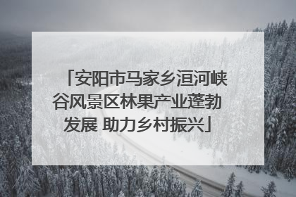 安阳市马家乡洹河峡谷风景区林果产业蓬勃发展 助力乡村振兴