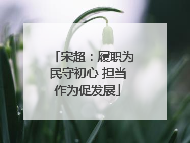 宋超：履职为民守初心 担当作为促发展