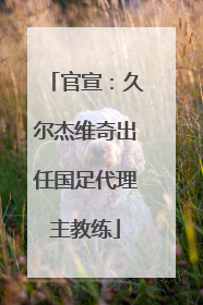 官宣：久尔杰维奇出任国足代理主教练