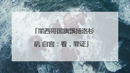 墨西哥国旗飘扬洛杉矶 白宫：看，罪证