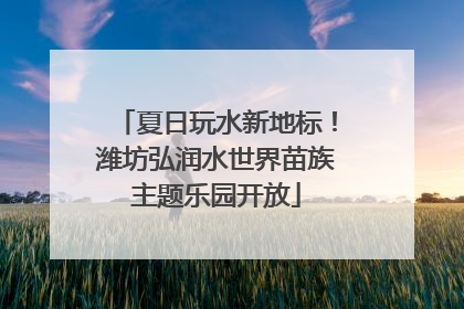 夏日玩水新地标！潍坊弘润水世界苗族主题乐园开放
