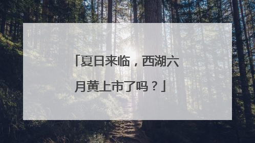 夏日来临，西湖六月黄上市了吗？