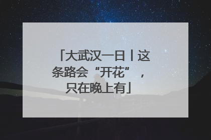 大武汉一日丨这条路会“开花”，只在晚上有