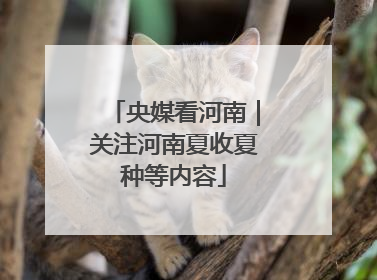 央媒看河南｜关注河南夏收夏种等内容