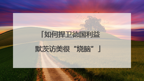 如何捍卫德国利益 默茨访美很“烧脑”