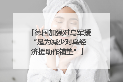 德国加强对乌军援 “是为减少对乌经济援助作铺垫”