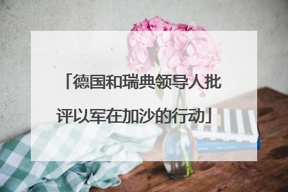 德国和瑞典领导人批评以军在加沙的行动