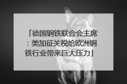德国钢铁联合会主席：美加征关税给欧洲钢铁行业带来巨大压力