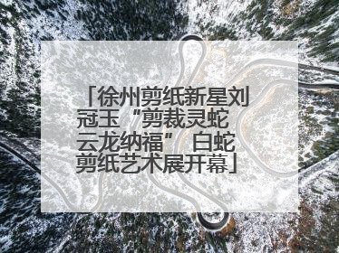 徐州剪纸新星刘冠玉“剪裁灵蛇 云龙纳福” 白蛇剪纸艺术展开幕