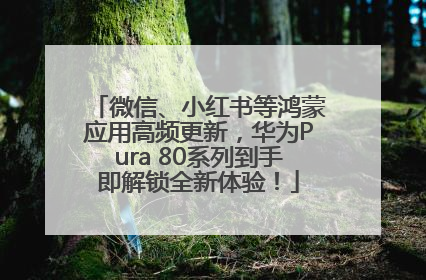 微信、小红书等鸿蒙应用高频更新，华为Pura 80系列到手即解锁全新体验！