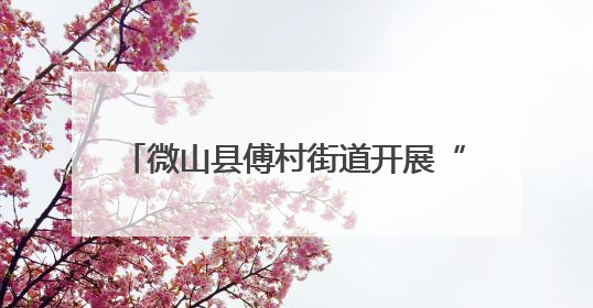 微山县傅村街道开展“音为有你 遇见美好”521主题音乐活动
