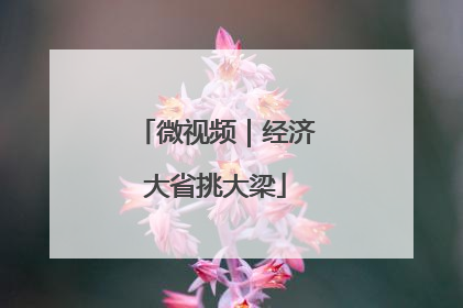 微视频｜经济大省挑大梁