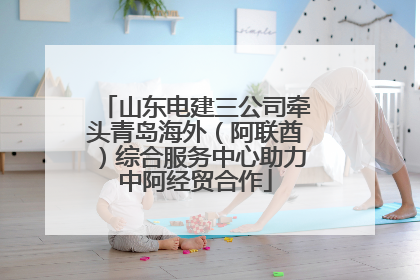 山东电建三公司牵头青岛海外（阿联酋）综合服务中心助力中阿经贸合作