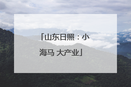 山东日照：小海马 大产业
