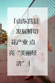 山东莒县：发展鲜切花产业 点亮“美丽经济”