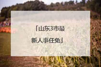 山东3市最新人事任免
