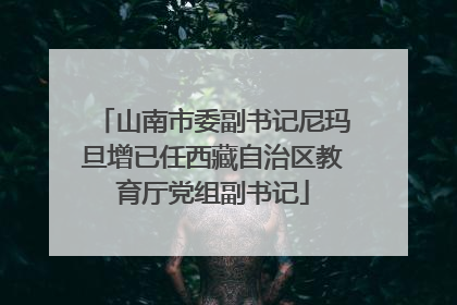 山南市委副书记尼玛旦增已任西藏自治区教育厅党组副书记