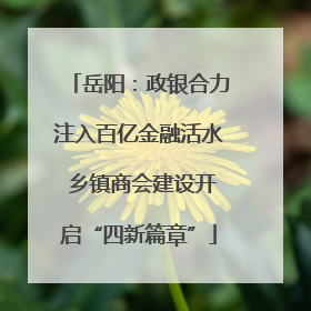 岳阳：政银合力注入百亿金融活水 乡镇商会建设开启“四新篇章”