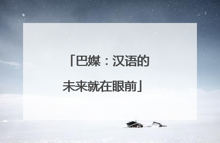 巴媒：汉语的未来就在眼前