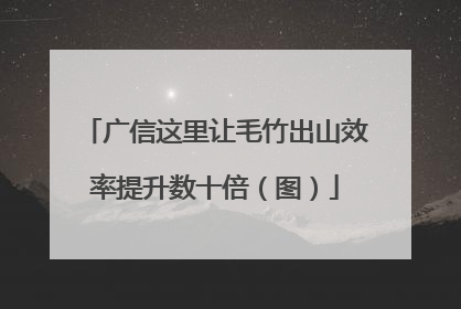 广信这里让毛竹出山效率提升数十倍（图）