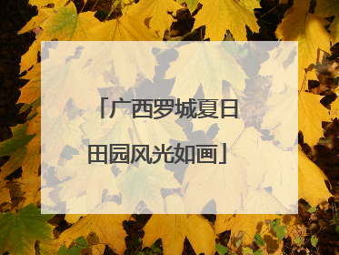 广西罗城夏日田园风光如画