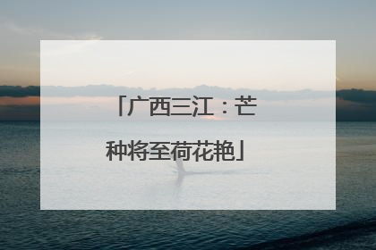 广西三江：芒种将至荷花艳