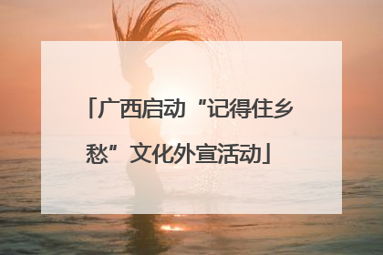 广西启动“记得住乡愁”文化外宣活动