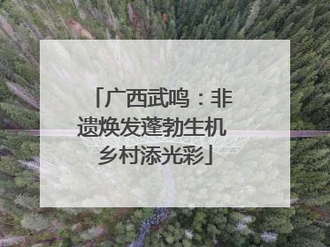 广西武鸣：非遗焕发蓬勃生机 乡村添光彩