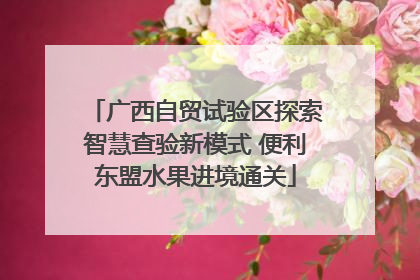 广西自贸试验区探索智慧查验新模式 便利东盟水果进境通关