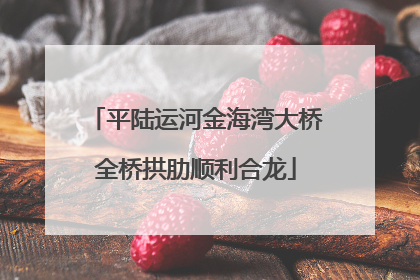 平陆运河金海湾大桥全桥拱肋顺利合龙