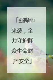 强降雨来袭，全力守护群众生命财产安全