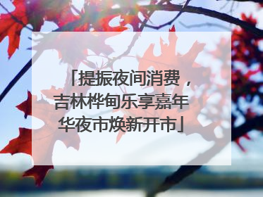 提振夜间消费，吉林桦甸乐享嘉年华夜市焕新开市