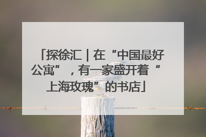 探徐汇｜在“中国最好公寓”，有一家盛开着“上海玫瑰”的书店