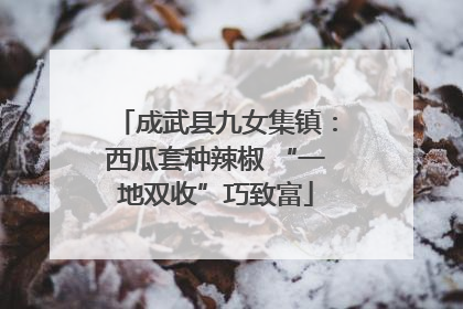 成武县九女集镇：西瓜套种辣椒 “一地双收”巧致富
