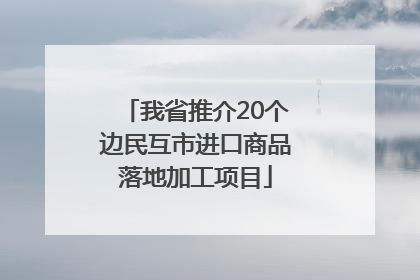 我省推介20个边民互市进口商品落地加工项目