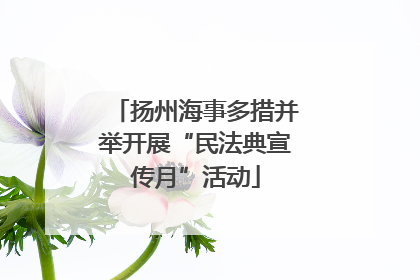 扬州海事多措并举开展“民法典宣传月”活动