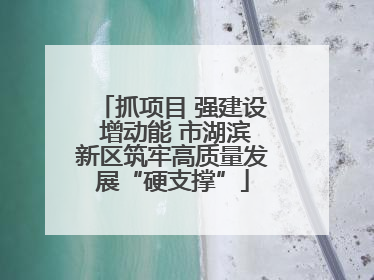抓项目 强建设 增动能 市湖滨新区筑牢高质量发展“硬支撑”