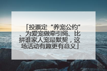 投票定“养宠公约”、为爱宠做牵引绳、比拼谁家人宠最默契，这场活动有趣更有意义