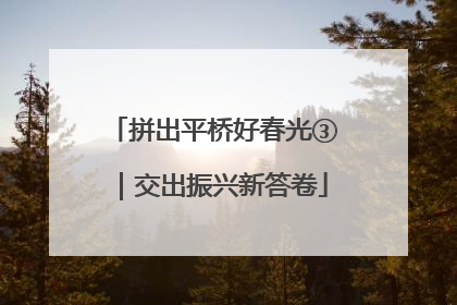 拼出平桥好春光③｜交出振兴新答卷