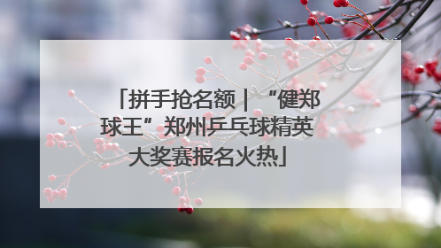 拼手抢名额｜“健郑球王”郑州乒乓球精英大奖赛报名火热