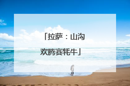 拉萨：山沟欢腾赛牦牛