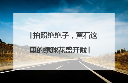 拍照绝绝子，黄石这里的绣球花盛开啦