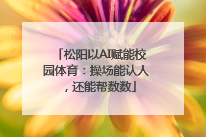 松阳以AI赋能校园体育：操场能认人，还能帮数数