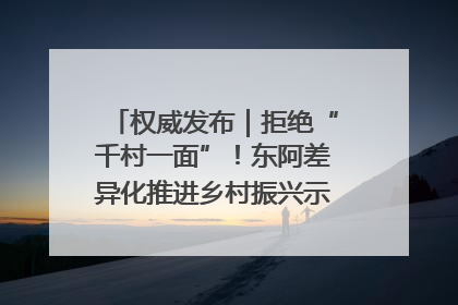 权威发布｜拒绝“千村一面”！东阿差异化推进乡村振兴示范片区建设