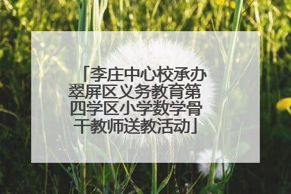 李庄中心校承办翠屏区义务教育第四学区小学数学骨干教师送教活动