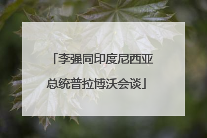 李强同印度尼西亚总统普拉博沃会谈