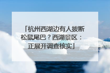 杭州西湖边有人拔断松鼠尾巴？西湖景区：正展开调查核实